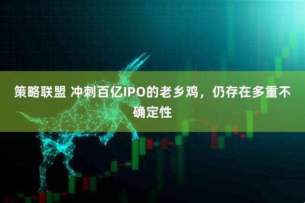 策略联盟 冲刺百亿IPO的老乡鸡，仍存在多重不确定性