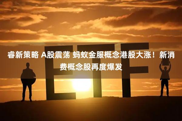 睿新策略 A股震荡 蚂蚁金服概念港股大涨！新消费概念股再度爆发