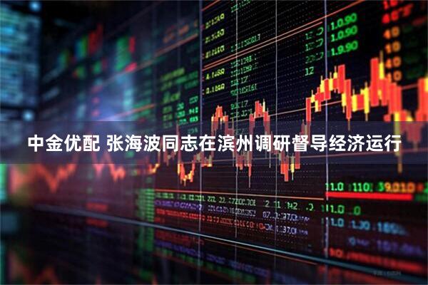 中金优配 张海波同志在滨州调研督导经济运行