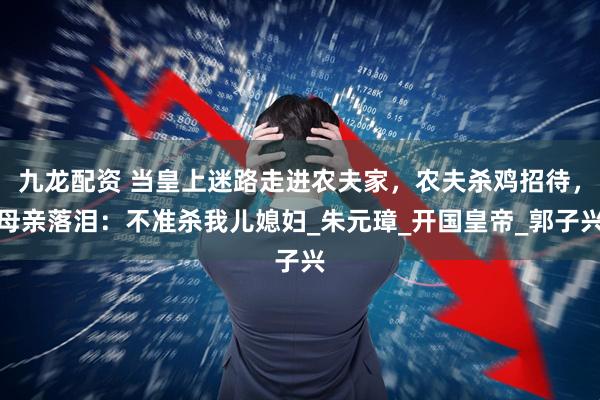 九龙配资 当皇上迷路走进农夫家，农夫杀鸡招待，母亲落泪：不准杀我儿媳妇_朱元璋_开国皇帝_郭子兴