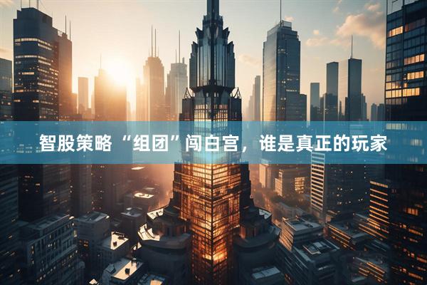 智股策略 “组团”闯白宫，谁是真正的玩家