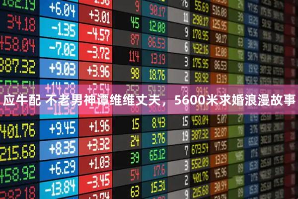 应牛配 不老男神谭维维丈夫，5600米求婚浪漫故事