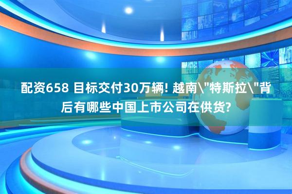 配资658 目标交付30万辆! 越南